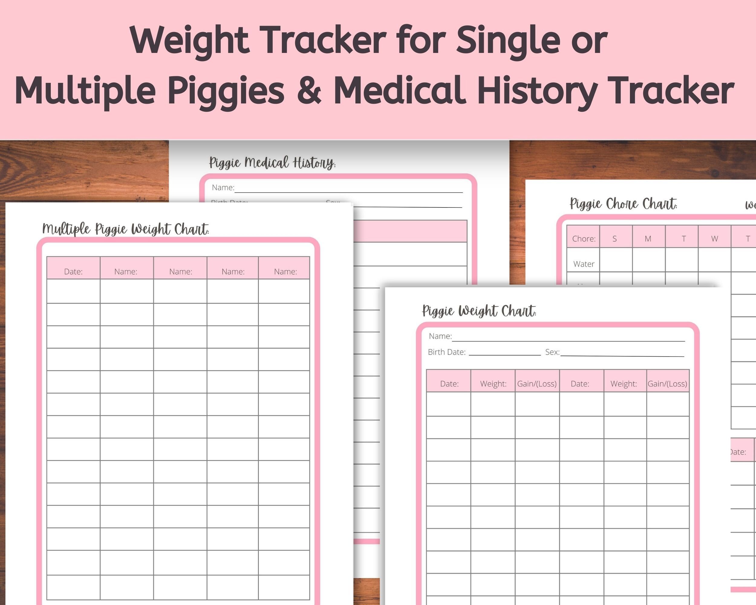 Ultimate Guinea Pig Care Bundle Printable, Guinea Pig Care Binder ...