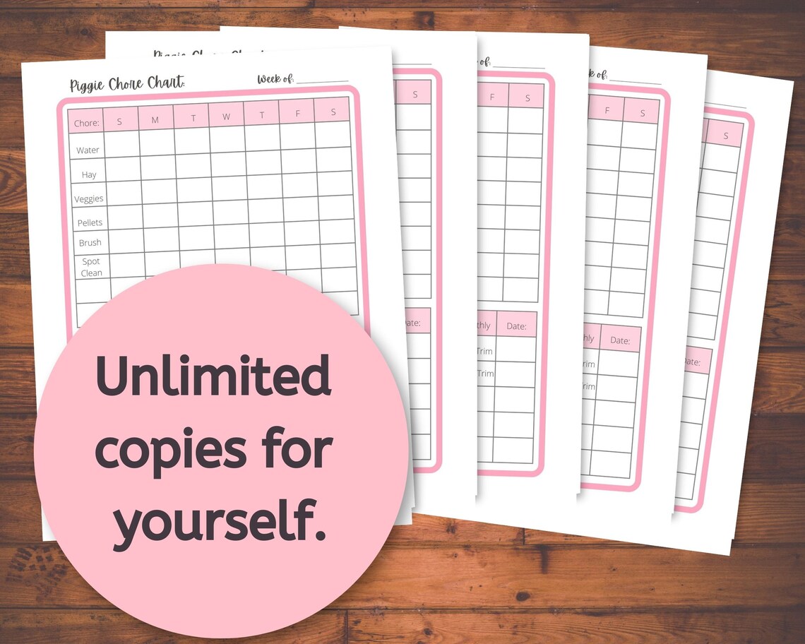 Ultimate Guinea Pig Care Bundle Printable, Guinea Pig Care Binder ...