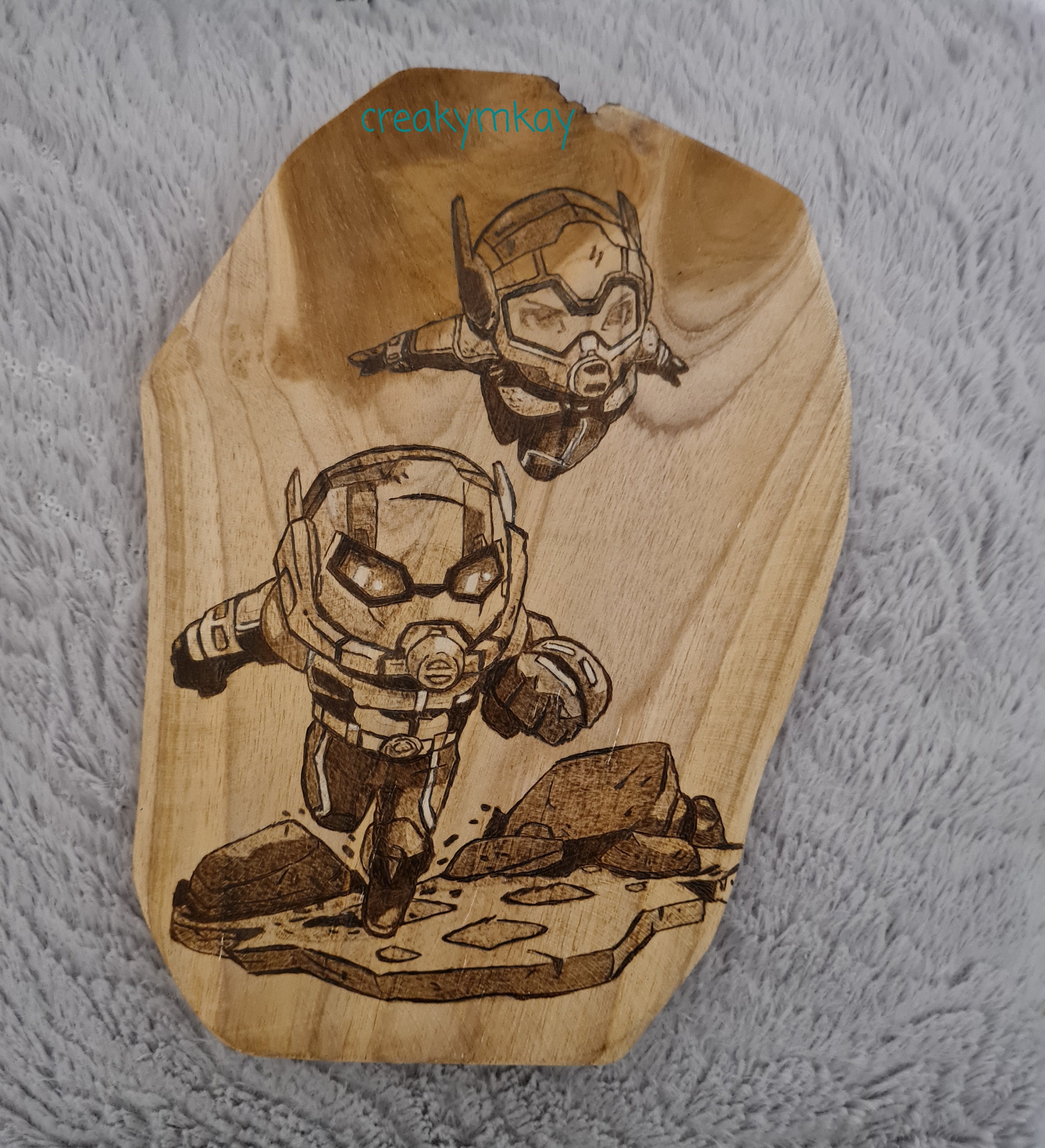 Ant-Man et La Guêpe