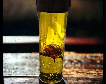 Snark Half-Life 2 Fan Prop in Glass Container – Handmade Gaming Collector's Item