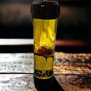 Puede incluir: Un recipiente cilíndrico con una tapa marrón oscuro lleno de un líquido amarillo translúcido que contiene numerosas burbujas de aire pequeñas y un insecto marrón parecido a un escarabajo suspendido en el centro del fluido.