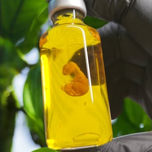 Jurassic Park Bottle Velociraptor Embryo T-Rex, Dilo, Procera, Spino Jurassic World Dino Probe Cosplay Raptor Baby Dino InGen