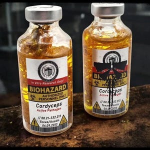 Puede incluir: Dos viales de vidrio con tapas plateadas, llenos de un líquido dorado y materia orgánica. Cada vial tiene una etiqueta con la palabra "BIOHAZARD" y "Cordyceps". Las etiquetas también incluyen texto sobre personal autorizado y patógenos activos.