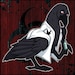 Raven