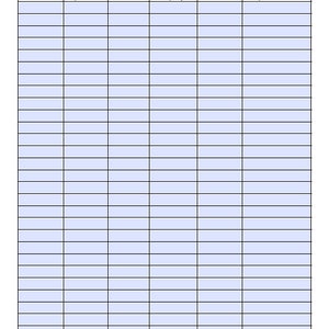 May include: A blank rent roll spreadsheet with columns for unit, bed/bath, rent, security deposit, lease end date, and lease/month to month.