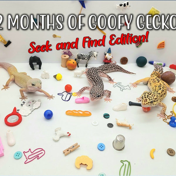 2024 12 Months of Goofy Geckos Calendar