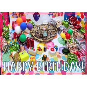 May include: A celebratory birthday image featuring a patterned snake wearing a party hat, surrounded by colourful balloons, wrapped gifts, and miniature cakes. The words "HAPPY BIRTHDAY!" are displayed in white.