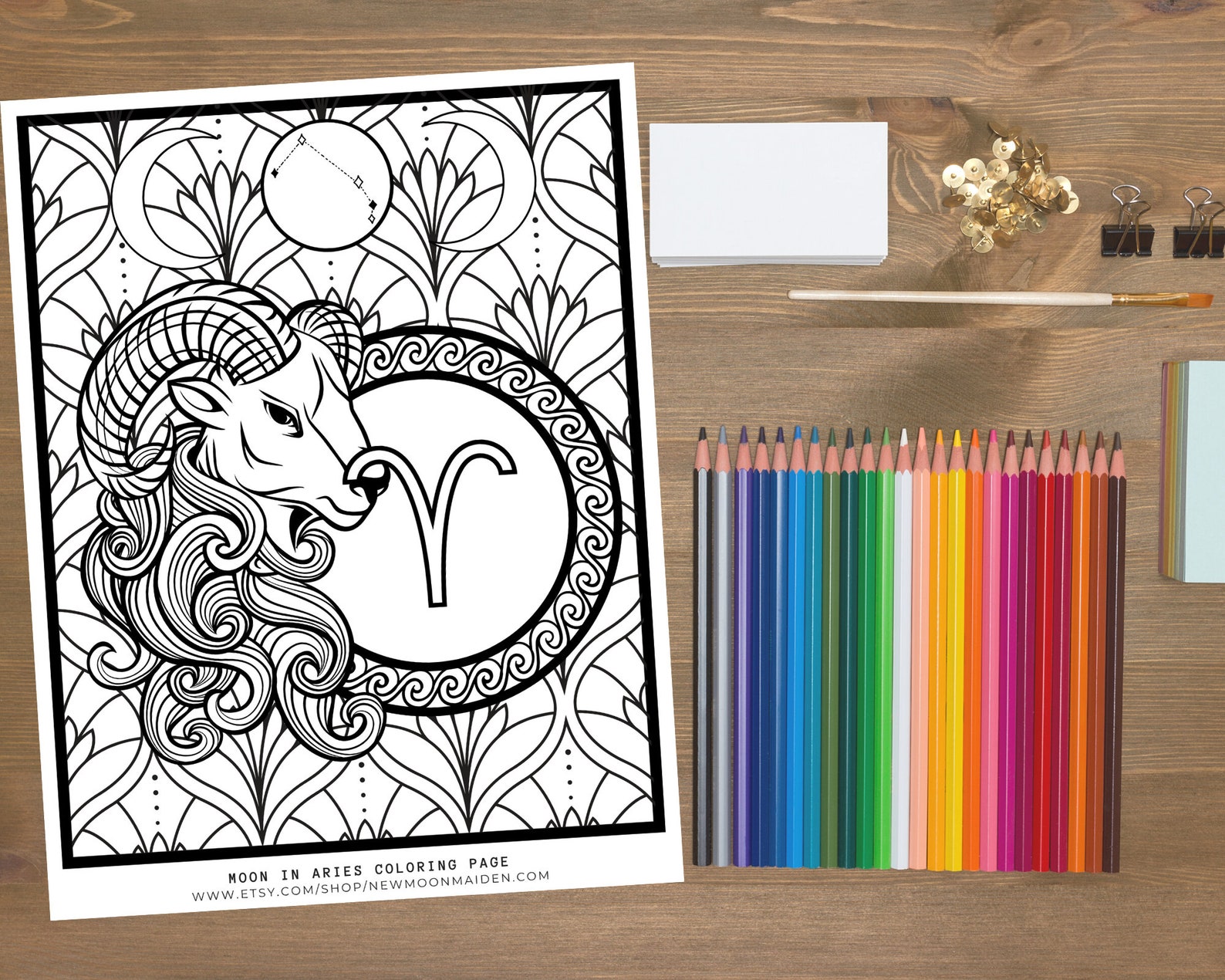 Zodiac Sign Coloring Pages 12-page Printable Digital - Etsy