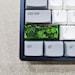Epoxy Resin Artisan Keycap, Custom Keycaps, Botanical Keycaps, OEM SA ...