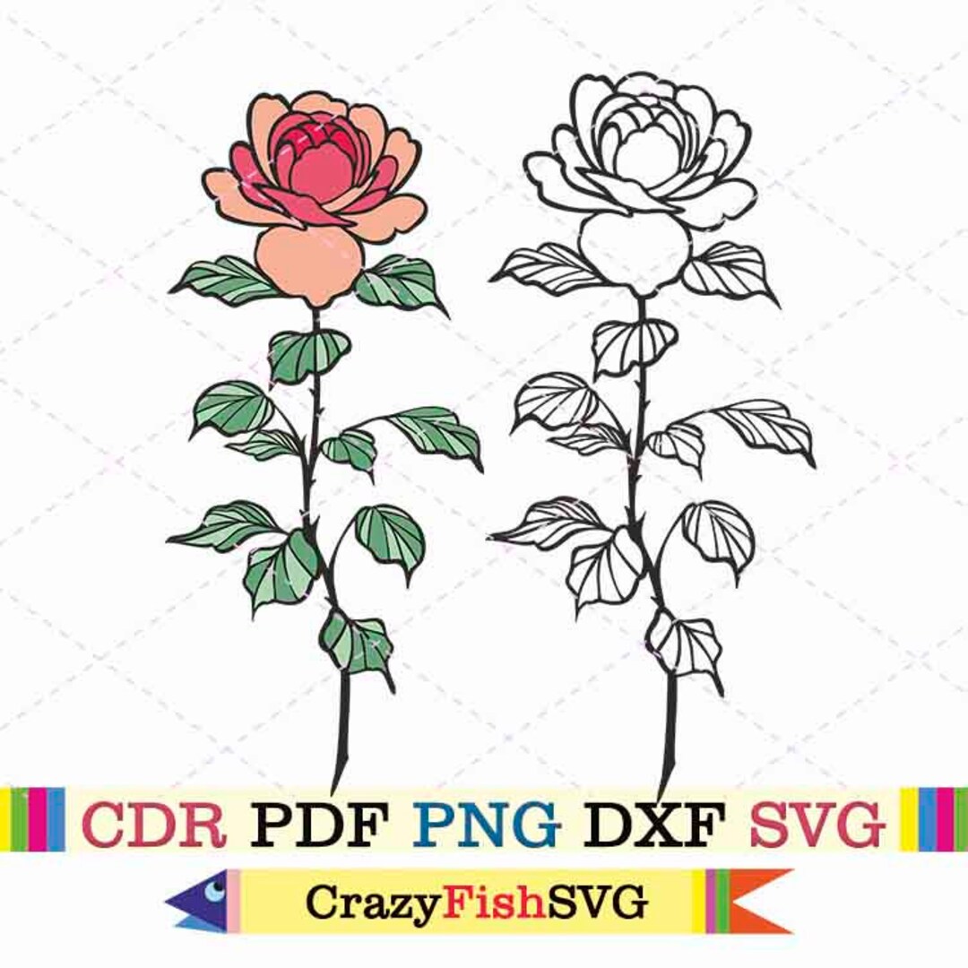 Roses Svg Clipart Vector Png Cut File Botanical Etsy