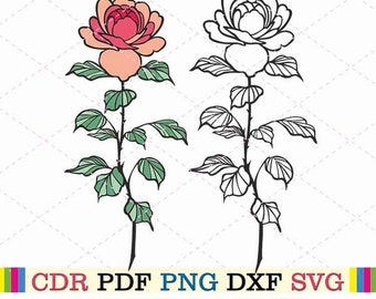 Roses svg clipart vector png cut file botanical