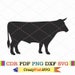 Farm Animal Svg Cow Pig Chicken Cute Horse Farmhouse Sheep Rooster Png ...