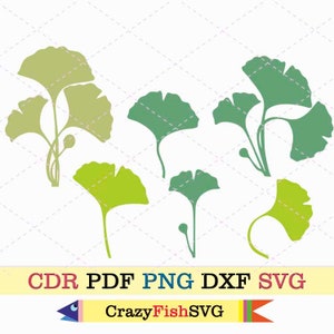 Leaves ginko biloba svg botanical plants pdf