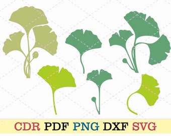 Folhas ginko biloba svg plantas botânicas pdf