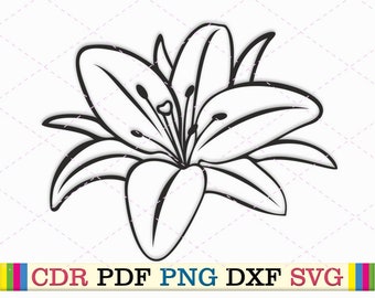 Lírio botânico svg jardim png