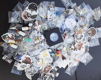 Oddity Treasure Box, Ethically Sourced Bones, Shells, Mystery, Art