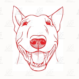 May include: A red line drawing of a bull terrier dog with its mouth open, showing its teeth. The dog is looking directly at the viewer.