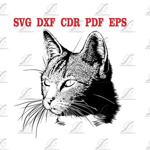 Katze digitale Datei. datei für CNC, Plotter, Laser, Textildrucker. pdf-, dxf-, cdr-, svg-Dateien.