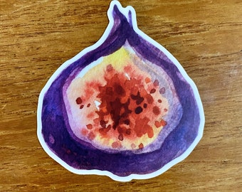 Fig Sticker Watercolour Handmade High Quality Great Decoration