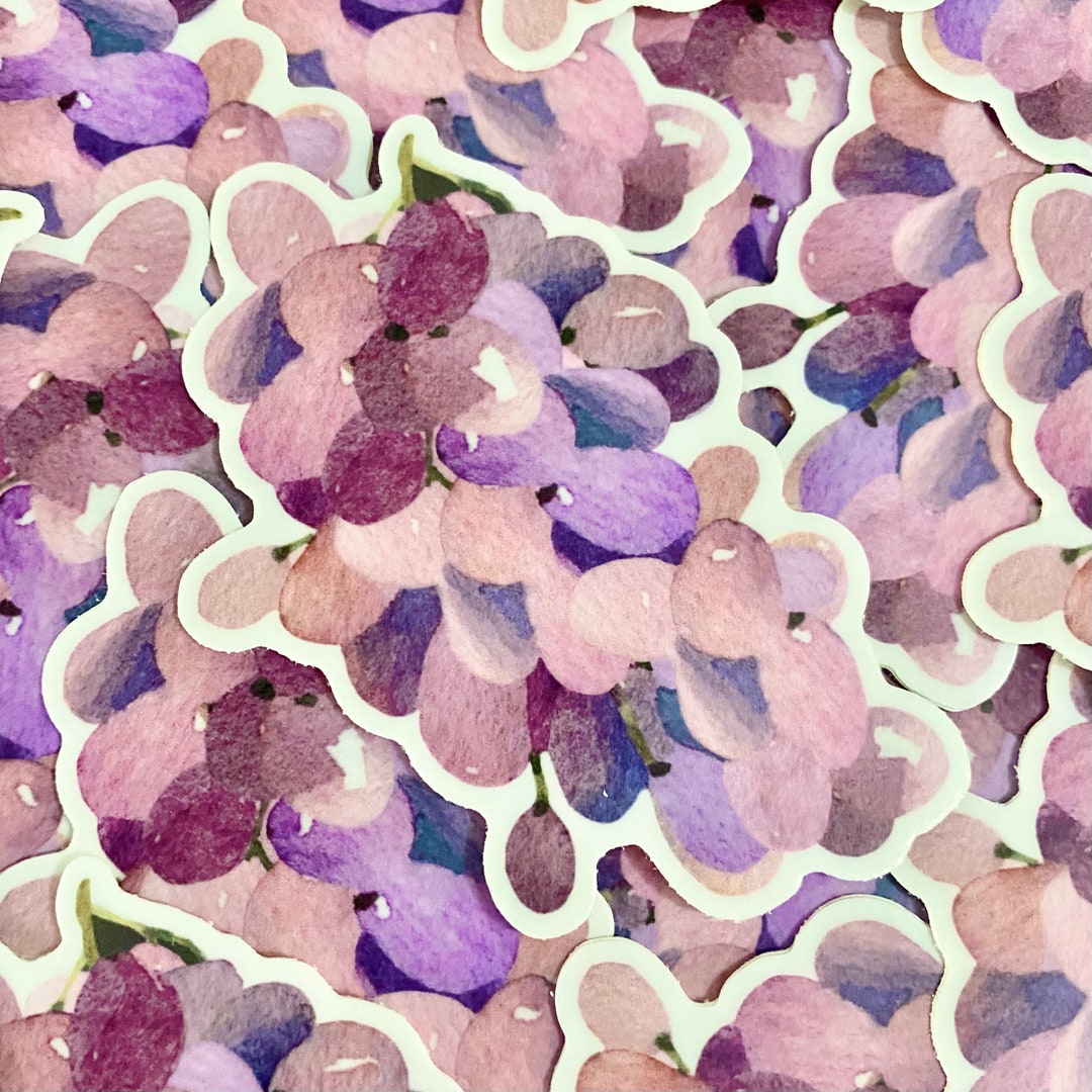 grape-vine-stickers-bulk-50-watercolour-hand-drawn-high-quality-great