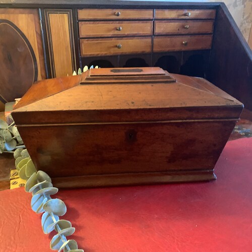 Mahogany Victorian Sarcoughagus shaped Tea Caddy shops