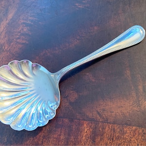 Stirling Silver Scalloped Tea Caddy Spoon