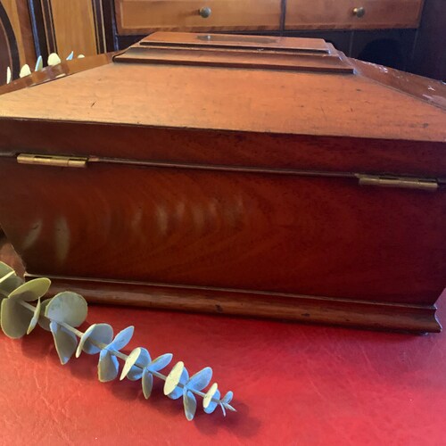 Mahogany Victorian Sarcoughagus shaped Tea Caddy shops