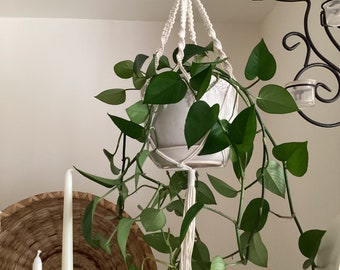 Macrame Plant Hanger