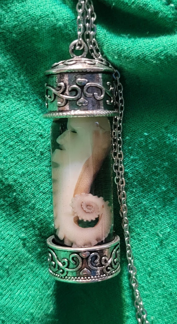 wet specimen octopus tentacle necklace Octopus tentacle necklace