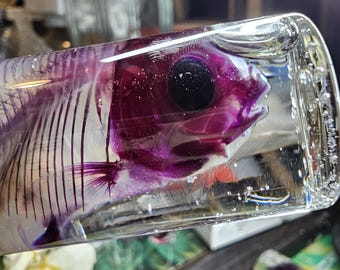 Koi diafonizado