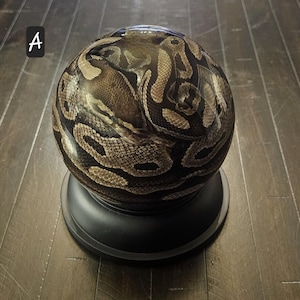 May include: A decorative bowling ball featuring a realistic python skin pattern in shades of brown, tan, and black. The ball is set on a black stand, showcasing the intricate design. The letter "A" is in the upper left corner.