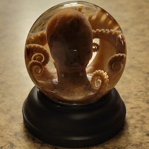 May include: A glass snow globe with a clear base and a black top. Inside the globe is a detailed resin sculpture of an octopus with its tentacles curled around itself.