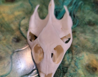 Turtle skull