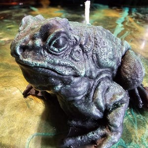 May include: A detailed, dark green and black frog-shaped candle with a white wick. The candle has a textured surface, capturing the appearance of frog skin. The candle is a unique decorative item.