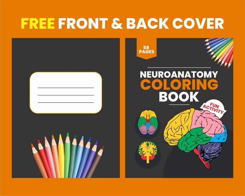 Printable Neuroanatomy Coloring Book, PDF Neuro Drawing Book ...