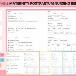 Printable Maternity Postpartum Nursing Report Sheet PDF Template, Digital Medical Mother Baby Nurse, Registered Nicu Nurse Sheet, Er Nurse