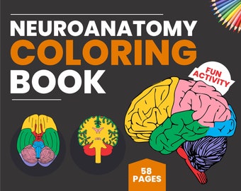 Printable Neuroanatomy Coloring Book, PDF Neuro drawing Book, Physiology Adult Coloring Pages, Human Brain Fun Activity Book For Children