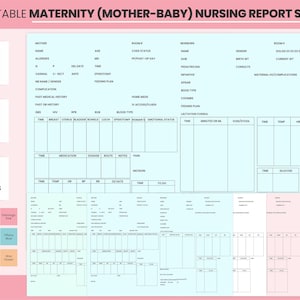 Printable 1 Patient Maternity Postpartum Nursing Report Sheet, Digital Medical Mother Baby Nurse Registered Nicu Nurse Sheet Pediatric Nurse