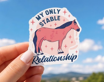 Meine einzige stabile Beziehung Sticker: Cowgirl Reiterin Pferdeliebhaber - Reitpferd Hobby - Pferdedame - Bauernhofleben und Scheunenleben