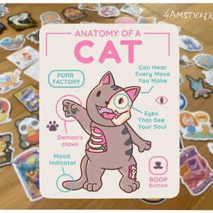 Sticker Anatomie d'un chat Sticker pour amoureux des chats, sticker pour maman de chat, art kitty, décoration pour chat, sticker pour maman, sticker pour journal d'art