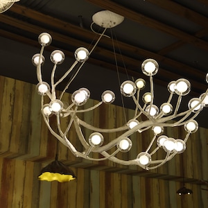 May include: A white, branch-like chandelier with multiple clear glass bulbs. The chandelier is hanging from a ceiling with wooden beams.