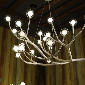 May include: A white metal chandelier with a tree branch design and multiple round glass bulbs. The chandelier is hanging from a ceiling with wooden beams.