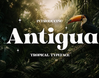 Antigua - Tropical Display, Serif Font, Modern Font, Boho Font, Branding Font, Swash Font, Fonts for Cricut, Bohemian Fonts, Cricut Fonts