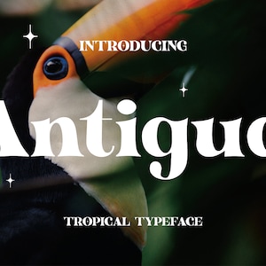 Antigua - Tropical Display, Serif Font, Modern Font, Boho Font, Branding Font, Swash Font, Fonts for Cricut, Bohemian Fonts, Cricut Fonts