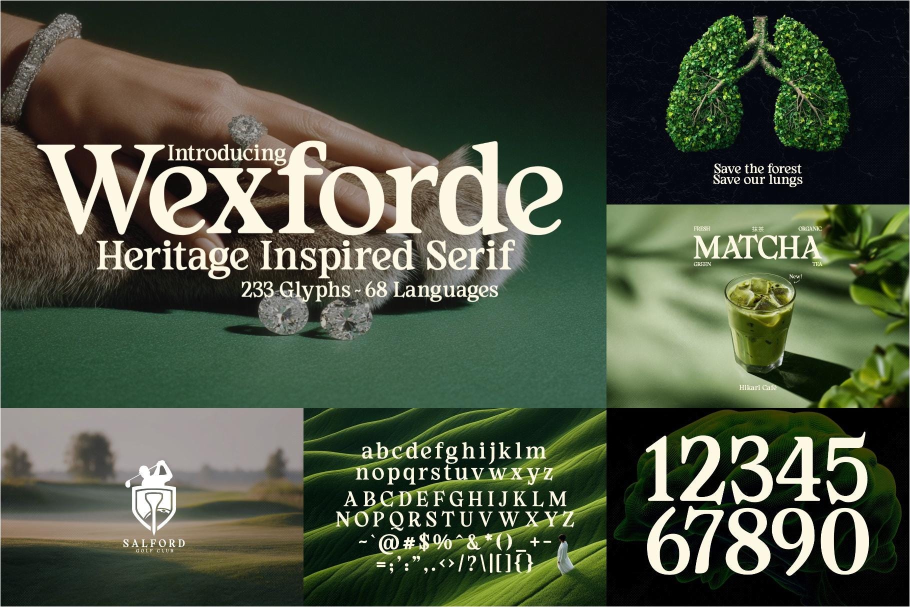 Golf Font Bundle | 276 Golf-themed Fonts for Courses, Clubs, Events ...