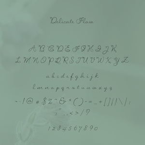 Delicate Flow - Signature Script Typeface - Etsy