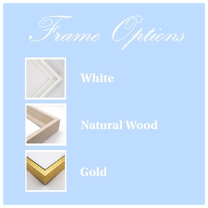 May include: Three frame options for a picture or artwork: white, natural wood, and gold.