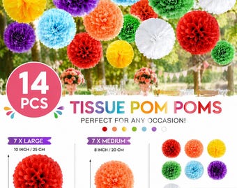 Colorful Tissue Paper Pom Poms Set of 14, Rainbow Party Decorations, Hanging Paper Flowers, Fiesta Birthday Decor, Baby Shower Ceiling Decor