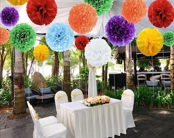 Tissue Pom Pom Paper Flower Ball Party Decorations 14 Pcs