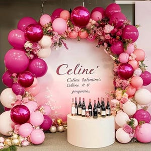 Pink Balloons Hot Pink Balloon Garland Different Sizes Latex Light Pink Balloons Arch Kit for Birthday Wedding Baby Shower Princess